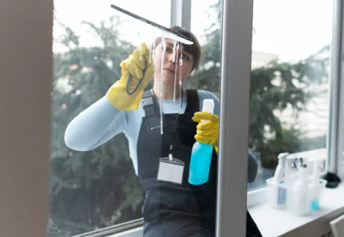 Nettoyage de vitres intérieures et extérieures à Beaugeay